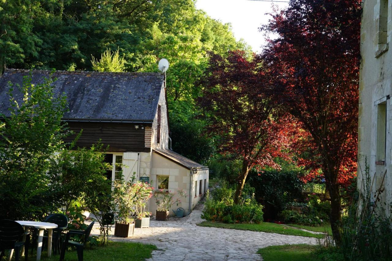 Bed and Breakfast Le Moulin De La Planche Cerelles Zewnętrze zdjęcie